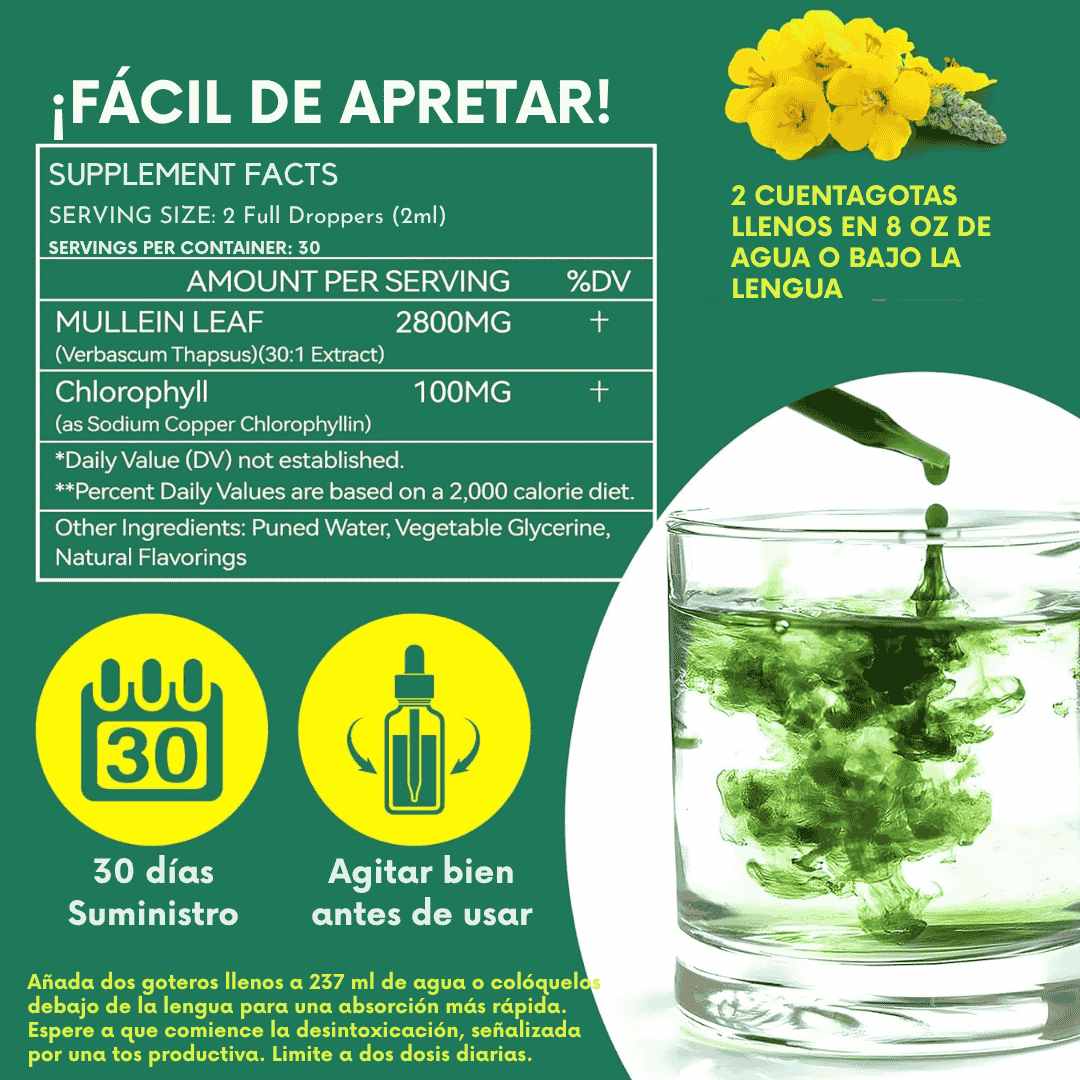 La Planta que Respira Contigo: Mullein, el Aliado Natural