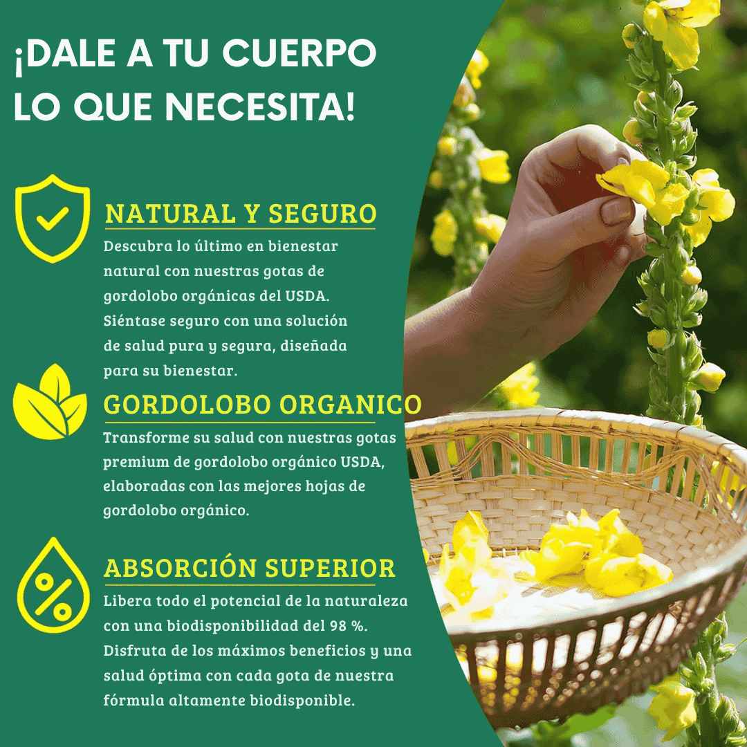 La Planta que Respira Contigo: Mullein, el Aliado Natural