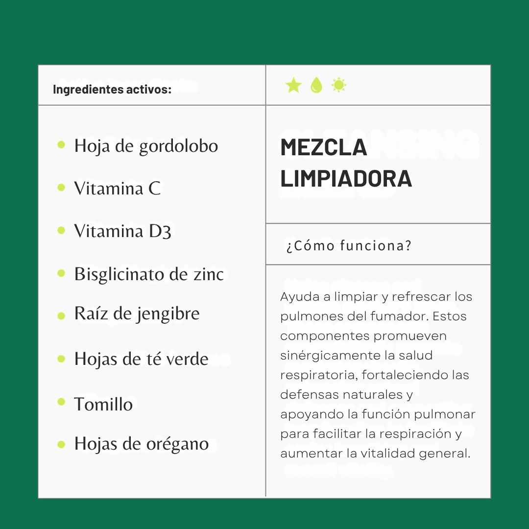La Planta que Respira Contigo: Mullein, el Aliado Natural