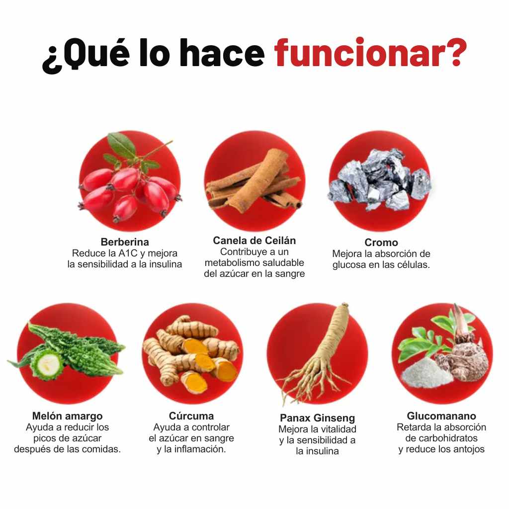 True Nutra – Blood Sugar Complex™